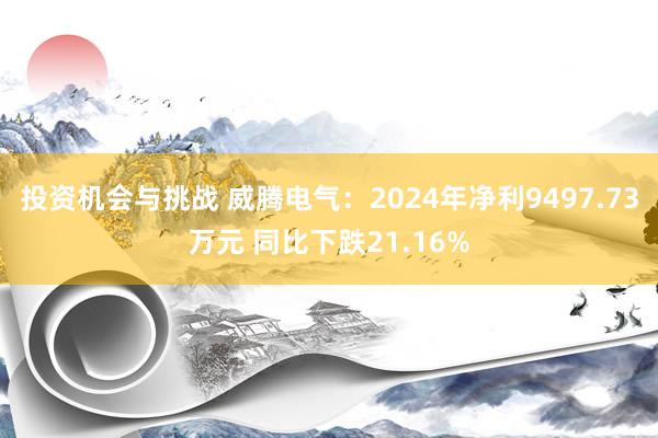 投资机会与挑战 威腾电气：2024年净利9497.73万元 同比下跌21.16%