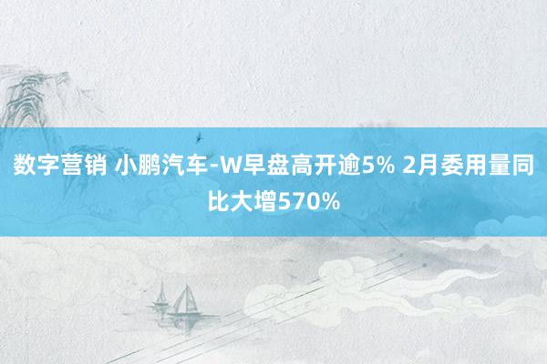 数字营销 小鹏汽车-W早盘高开逾5% 2月委用量同比大增570%