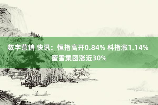 数字营销 快讯：恒指高开0.84% 科指涨1.14% 蜜雪集团涨近30%