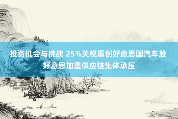 投资机会与挑战 25%关税重创好意思国汽车股 好意思加墨供应链集体承压