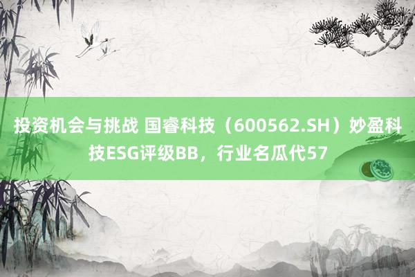 投资机会与挑战 国睿科技（600562.SH）妙盈科技ESG评级BB，行业名瓜代57