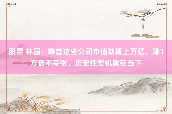 股票 林园：畴昔这些公司市值动辄上万亿，赚1万倍不夸张，历史性契机就在当下