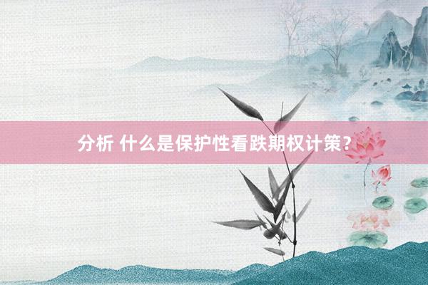 分析 什么是保护性看跌期权计策？