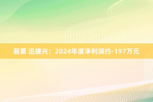 股票 迅捷兴：2024年度净利润约-197万元