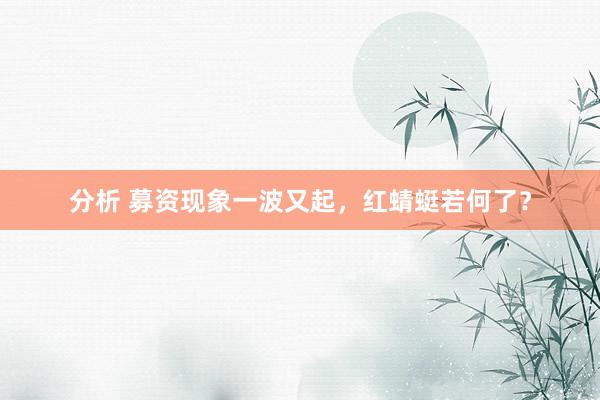 分析 募资现象一波又起，红蜻蜓若何了？