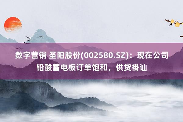 数字营销 圣阳股份(002580.SZ)：现在公司铅酸蓄电板订单饱和，供货褂讪